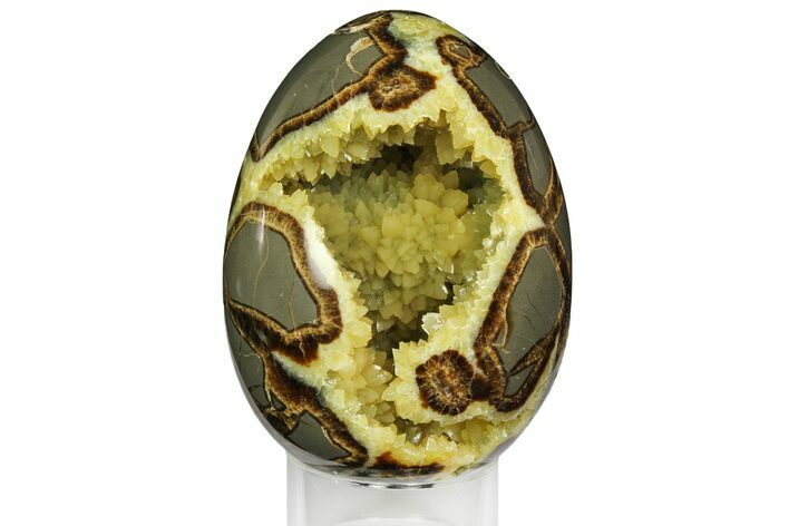 Calcite Crystal Filled Septarian Geode Egg - Utah #161349